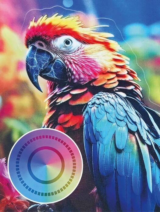 PP_Folie_transparent_50_PET